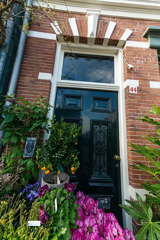 Divers buiten- en binnenschilderwerk Jasmijn Bloembinders (Zijlweg, Haarlem) - foto 4 Divers buiten- en binnenschilderwerk Jasmijn Bloembinders (Zijlweg, Haarlem) - foto 4